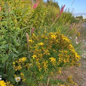 Meet your Posher, Eli